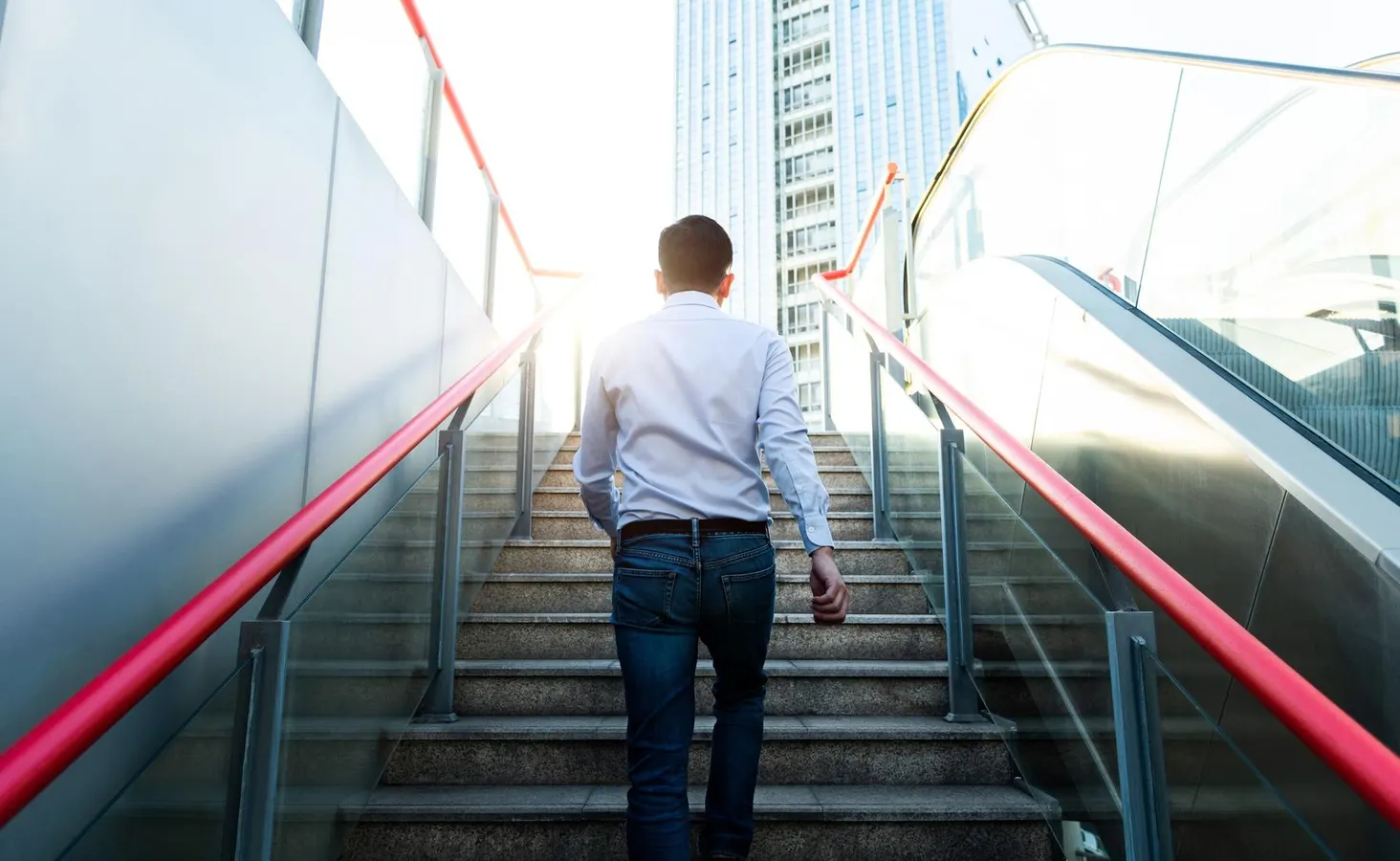 Wisdom, Enlightenment, And A Life In Business