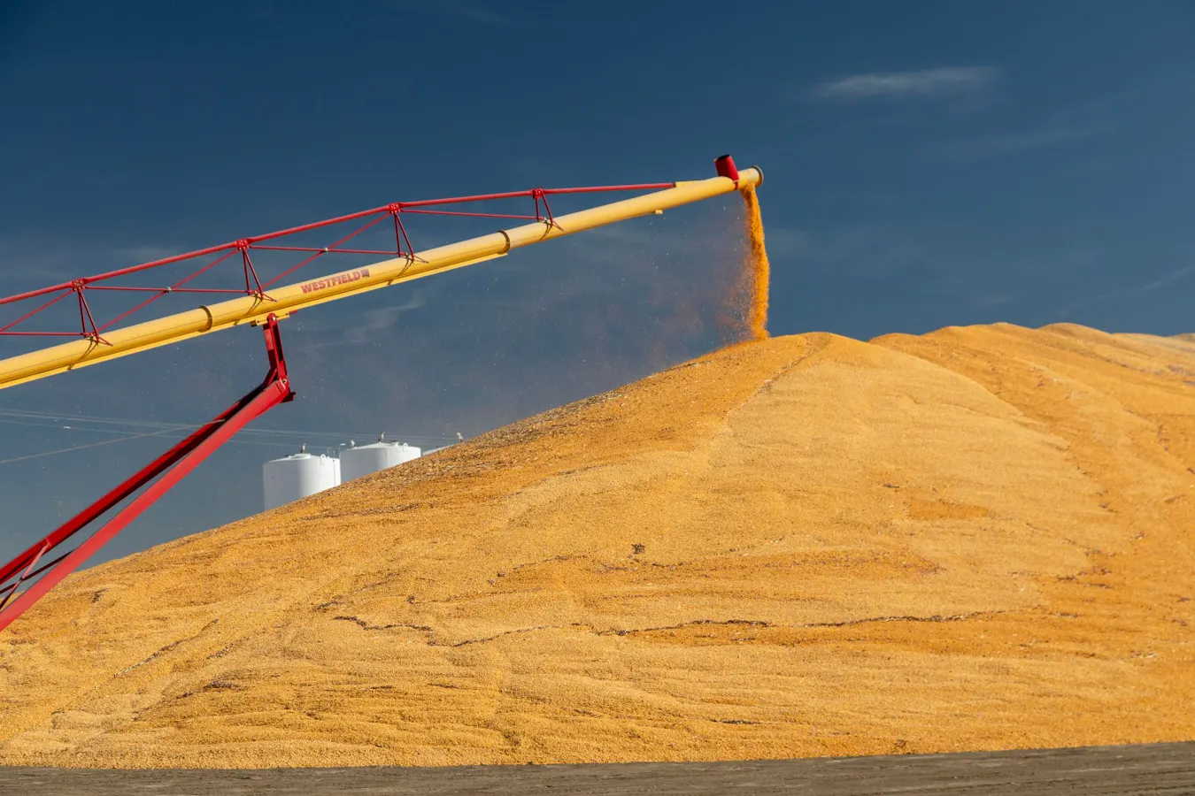 America’s Heartland Is Fueling The Next Generation Bioeconomy