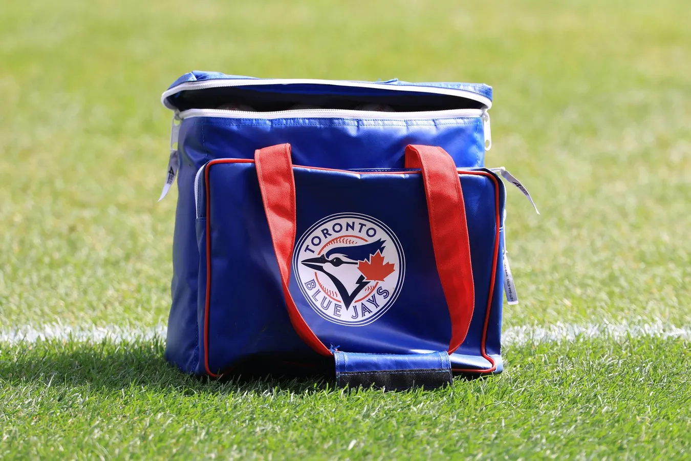 Blue Jays Cut Ties With 24-Year-Old Outfielder Shortly After Signing