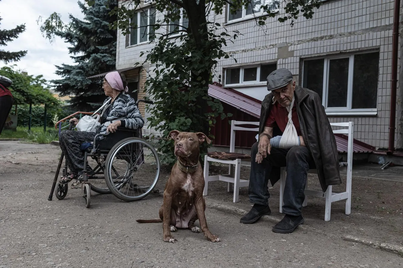 News And Information From Ukraine