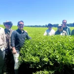 Wild Orchard Farmstead–And The Natural Wonder Of The World’s First Regenerative Organic Certified Tea Farm On Jeju Island
