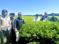 Wild Orchard Farmstead–And The Natural Wonder Of The World’s First Regenerative Organic Certified Tea Farm On Jeju Island