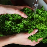 As Cyclosporiasis Spreads, So Does Misinformation—Here’s What’s True