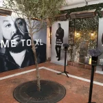 Destination XL Management Sparks FullBeauty U-Turn