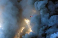 Why Do Russia’s Wildberries Warehouses Burn So Fiercely?