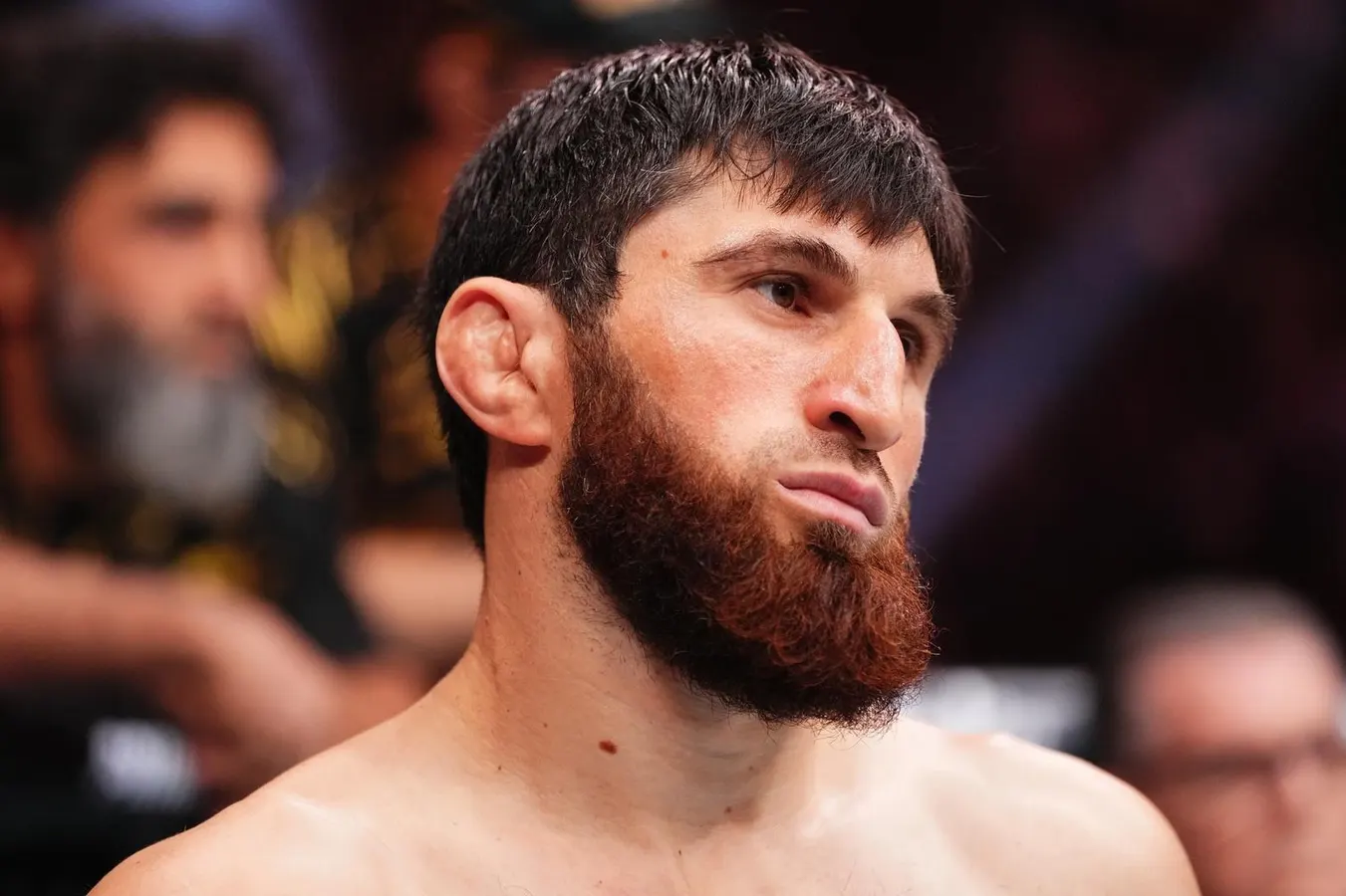What’s Special About The Abu Dhabi Card?
