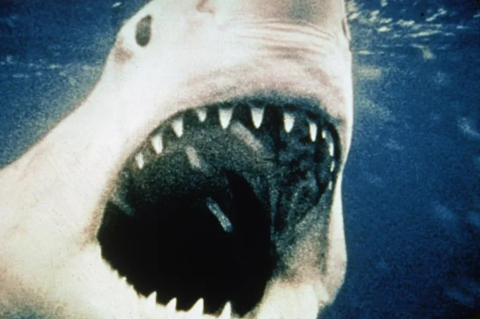 10 Movies To Watch This Shark Week