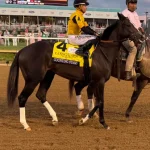 Counting Stars Shines In Run Towards Breeders Cup And Year End Honors