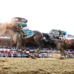 How To Read, And Bet, The Narrow Favorite Commandment