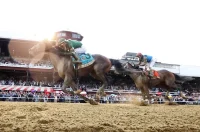 How To Read, And Bet, The Narrow Favorite Commandment