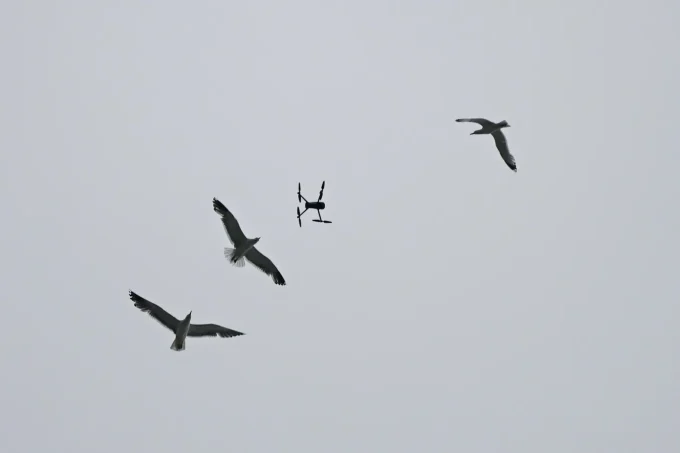 National Guard Troops Deploy Tech That Distinguishes Drones From Birds