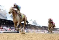 Renegade Wins, Commandment Places, Silent Tactic Shows
