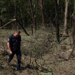 The Agricultural And Environmental Toll Of Russia’s War In Ukraine