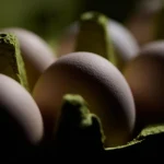 1.5 Million Egg Cartons Recalled—FDA Designates Alert As ‘High Risk’