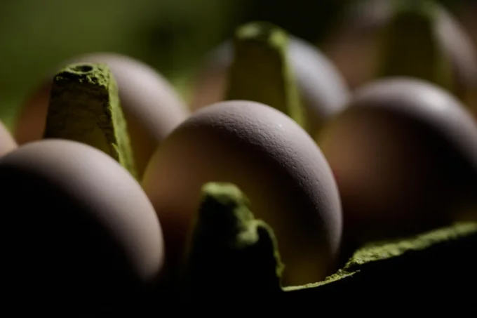 1.5 Million Egg Cartons Recalled—FDA Designates Alert As ‘High Risk’