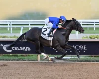 Pacific Classic Offers Breeders’ Cup Berth And  Million Purse