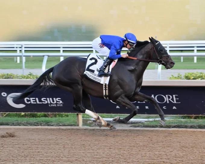 Pacific Classic Offers Breeders’ Cup Berth And  Million Purse