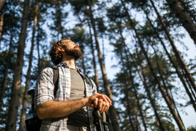 Outstanding ‘Into The Woods’ Explores Forests Anew And Stirs Ways That AI Can Reimagine Nature Journeys