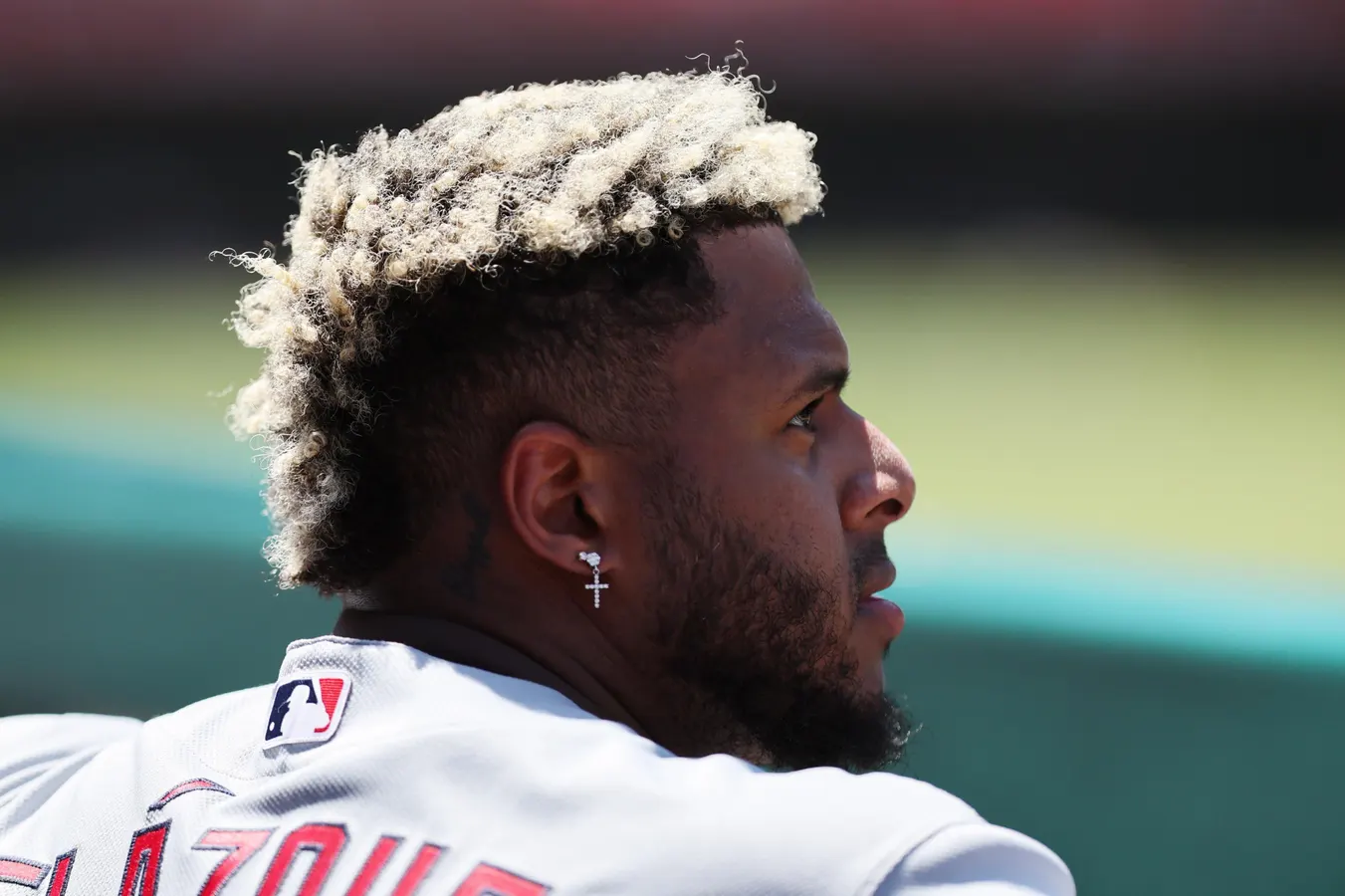 Cardinals’ Slugger Castoff Cuts Ties With New Team After Just 3 Games