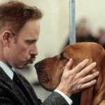 6 Great Dog Movies To Watch To Celebrate National Dog Day 2026