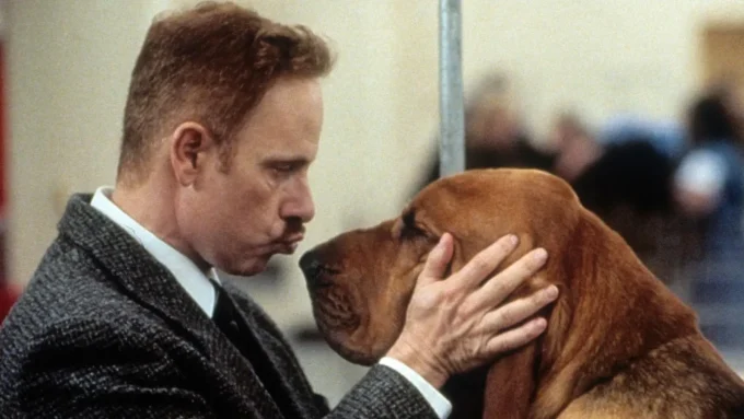 6 Great Dog Movies To Watch To Celebrate National Dog Day 2026