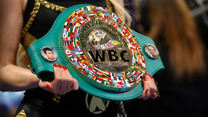 Mikaela Mayer Vs. Chantelle Cameron Full Card, Date, Time and How to Watch
