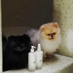 Why Prestige Beauty’s Next Target Customer Might Have Four Legs