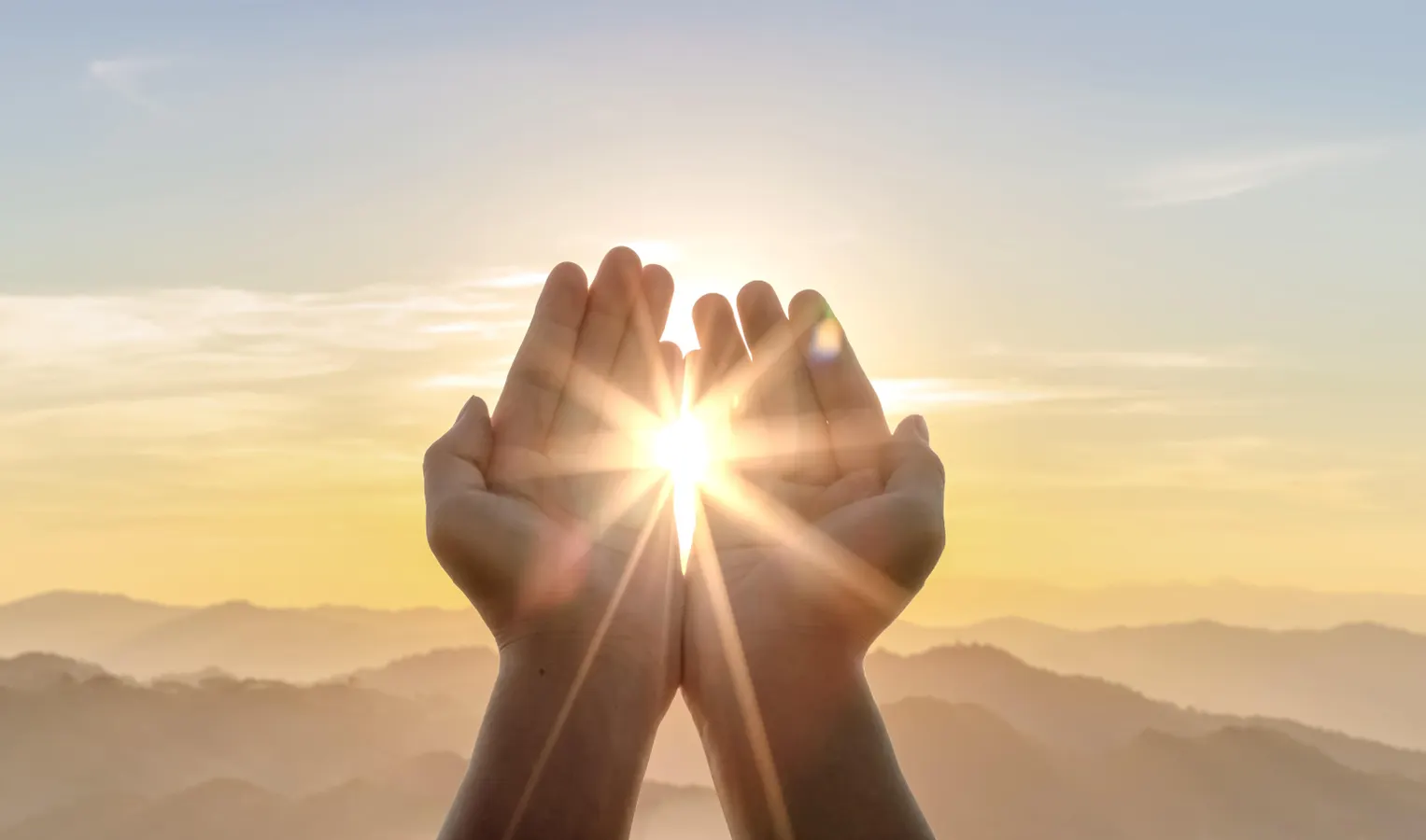 What Makes Us Whole