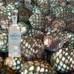 The World’s Best New Tequila—According To The 2026 San Francisco World Spirits Competition