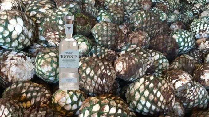 The World’s Best New Tequila—According To The 2026 San Francisco World Spirits Competition