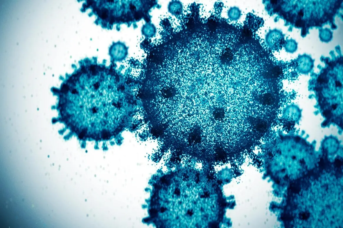 Scientists Are Using AI And Viruses To Help Defeat Superbugs