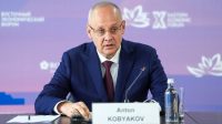 Russia rejects ‘screwdriver assembly’ model for foreign business – Putin aide — RT Business News