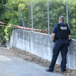 Renoir Paintings Worth Millions Stolen In French Riviera Museum Heist
