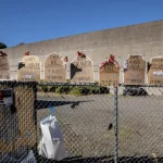 ICE Has ‘Lost Count’ Of Miscarriages Amid Pregnant Detainees, Report Claims