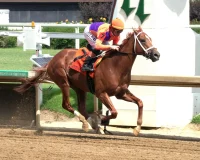  Million Pennsylvania Derby Offers Breeders’ Cup Implications