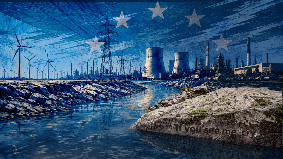 The EU wanted a green revolution. It may get a rust belt instead — RT Business News