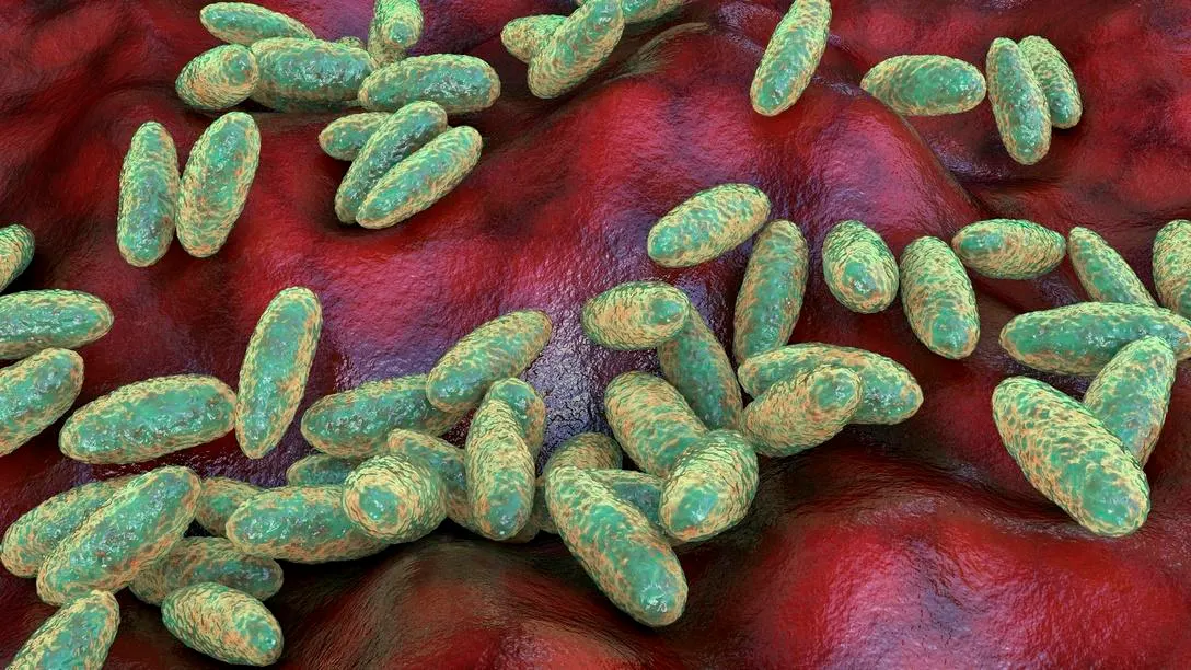What We Know About ‘Unknown’ Pneumonia