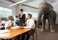 The Elephant In The Room Is Your Data Strategy