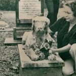 ‘The Pet Cemetery Murders’ Turns A Cold Case Into A Ghost Story