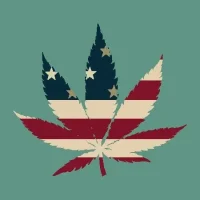 Marijuana Is On The Ballot In 2026. The Debate Has Changed