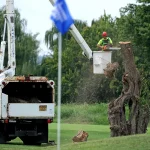 Trump Blocked From Further Tree Removal At East Potomac Golf Course
