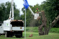 Trump Blocked From Further Tree Removal At East Potomac Golf Course