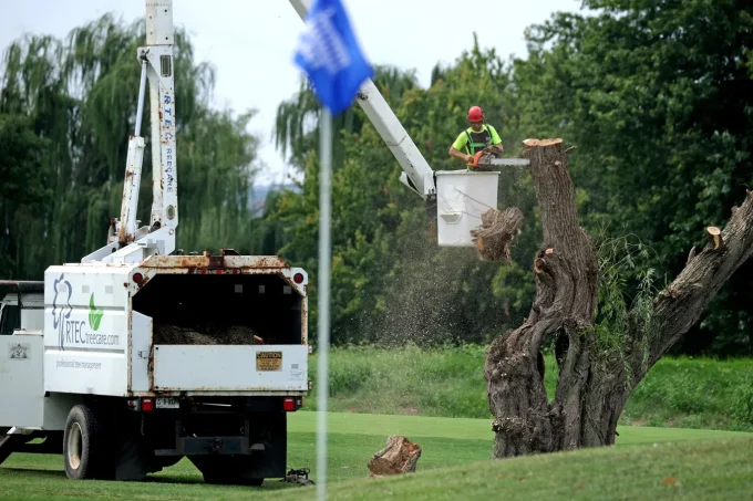 Trump Blocked From Further Tree Removal At East Potomac Golf Course